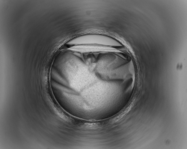 X0000099450057200805301521