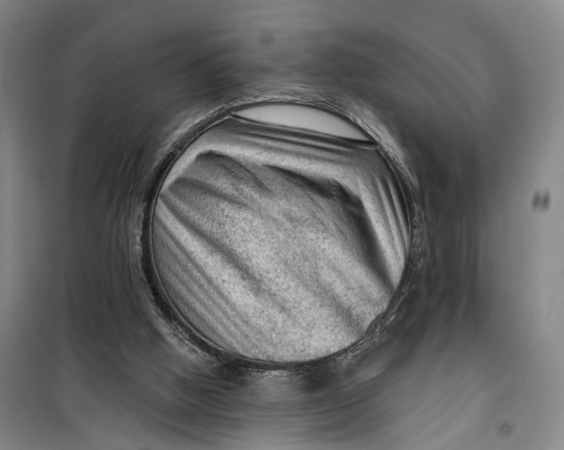 X0000099450058200805301521