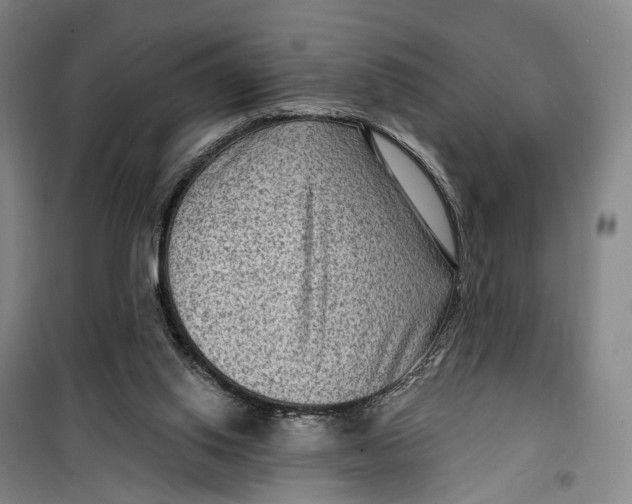 X0000099450062200805301521