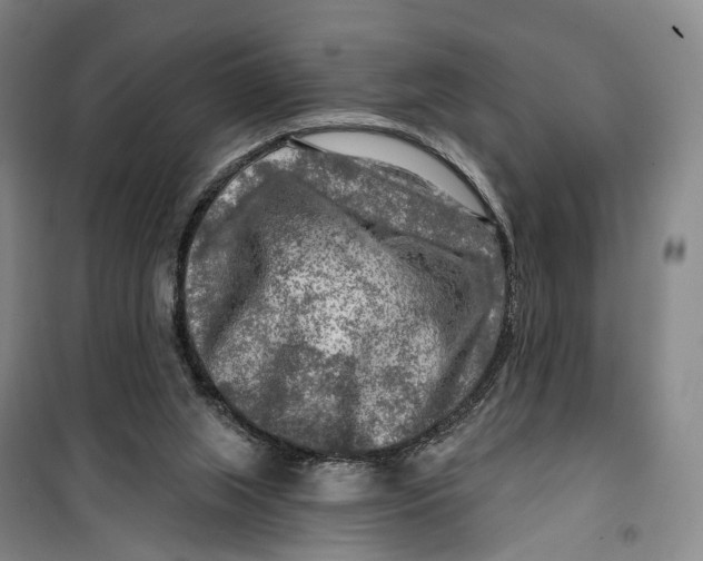 X0000099450063200805301521