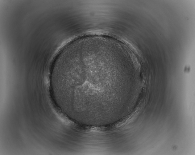 X0000099450064200805301521