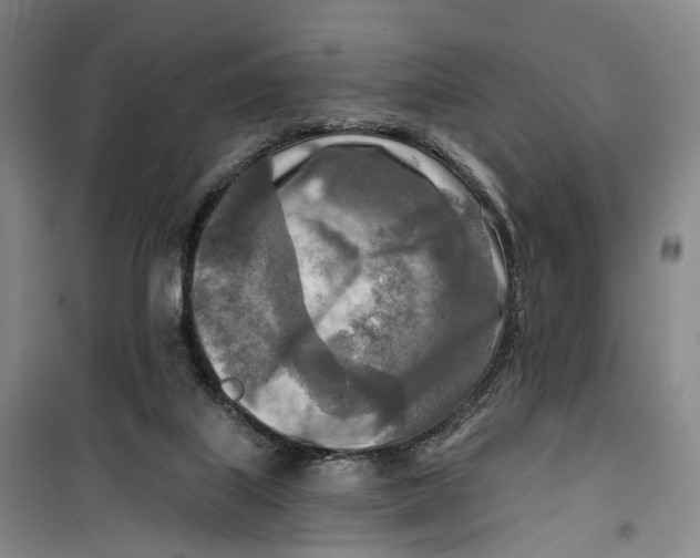 X0000099450067200805301522