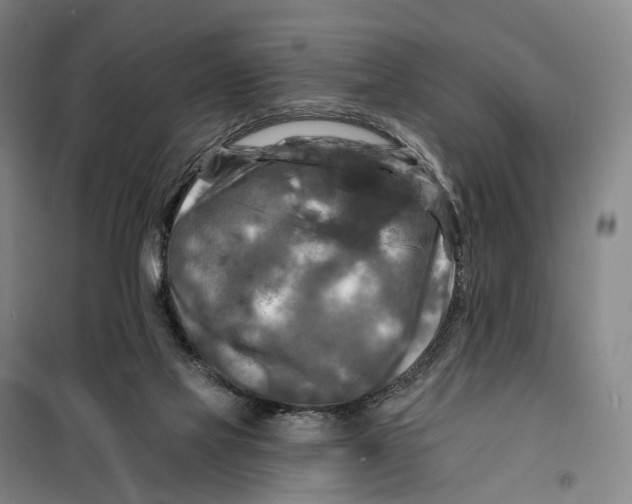 X0000099450069200805301522