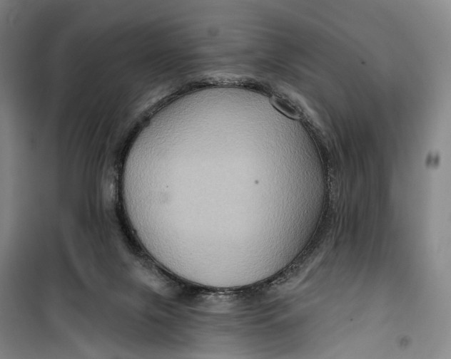 X0000099450071200805301522