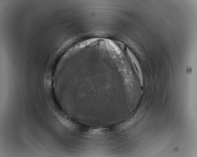 X0000099450072200805301522