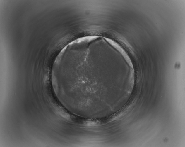 X0000099450073200805301522