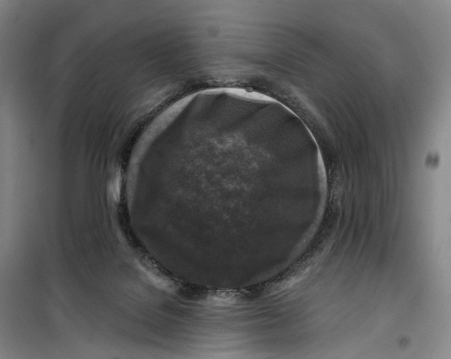 X0000099450076200805301522