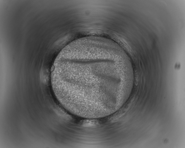 X0000099450077200805301522