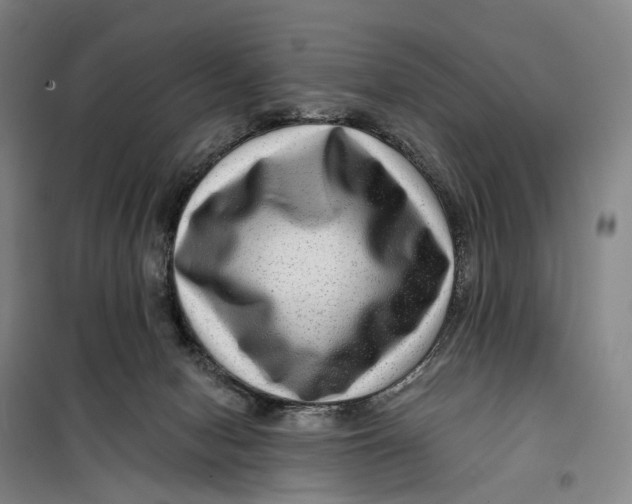 X0000099450078200805301522