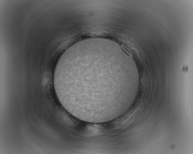 X0000099450079200805301522