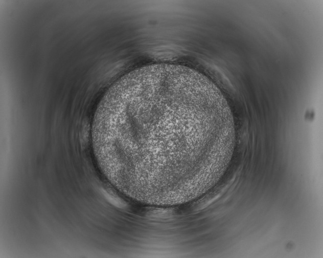 X0000099450081200805301522