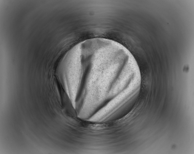 X0000099450082200805301522