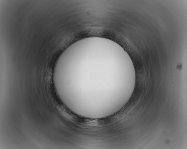 X0000099450083200805301522