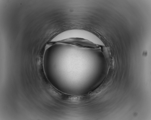 X0000099450084200805301522