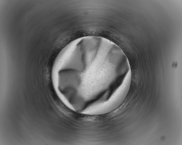 X0000099450086200805301522