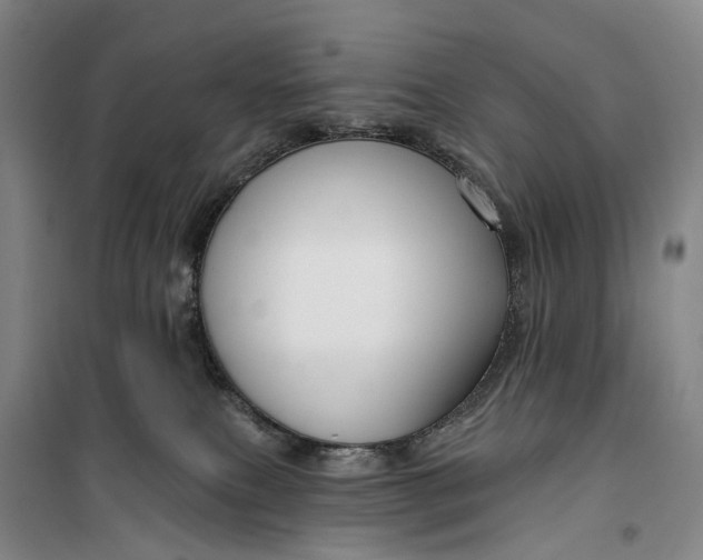 X0000099450087200805301522