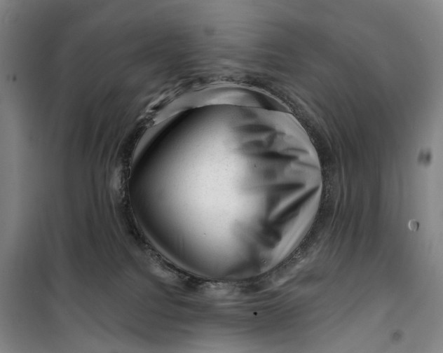 X0000099450088200805301522