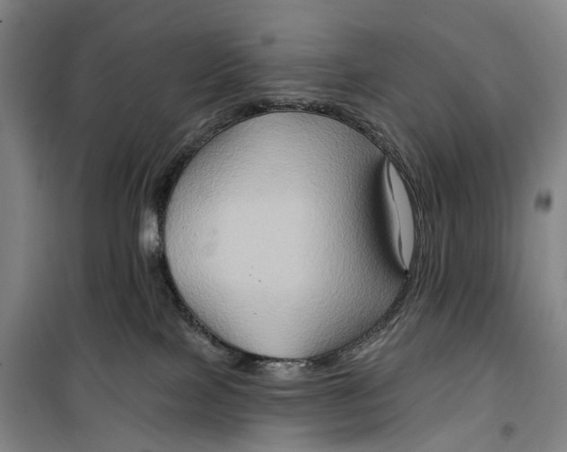 X0000099450089200805301522