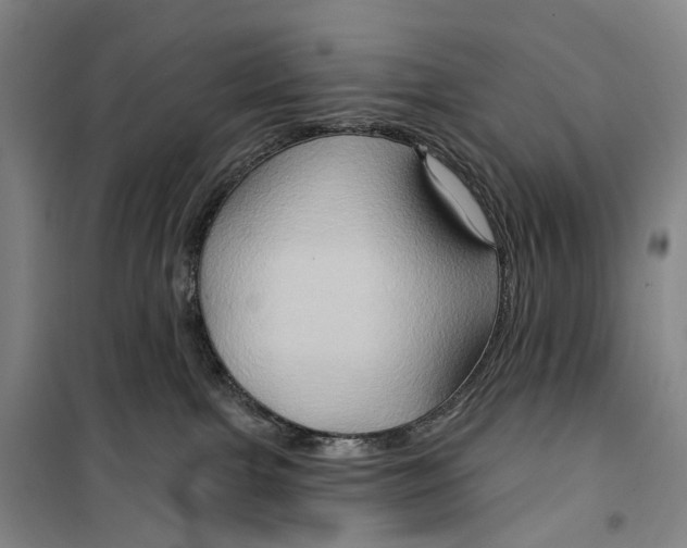 X0000099450091200805301522