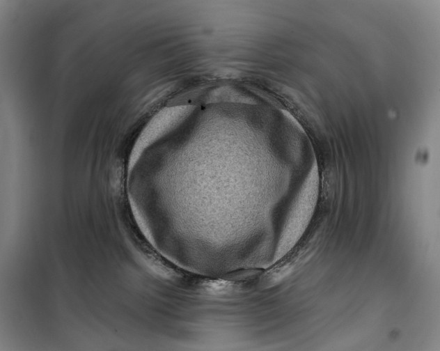 X0000099450092200805301522