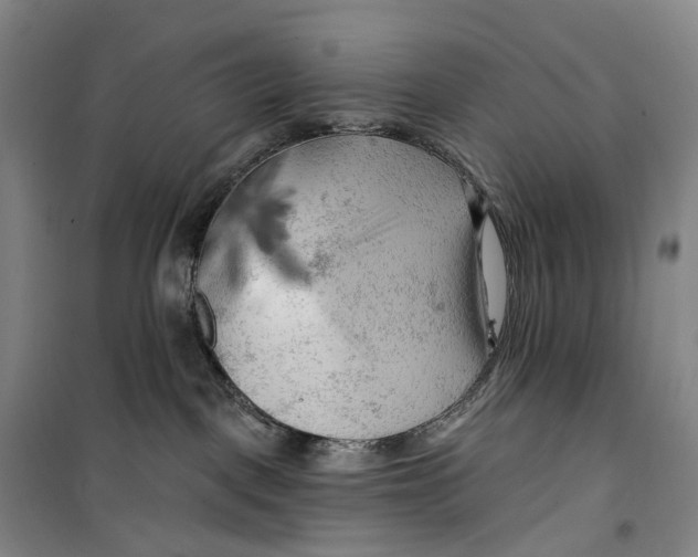 X0000099450093200805301522