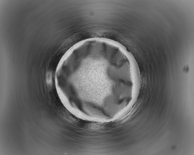 X0000099450094200805301522