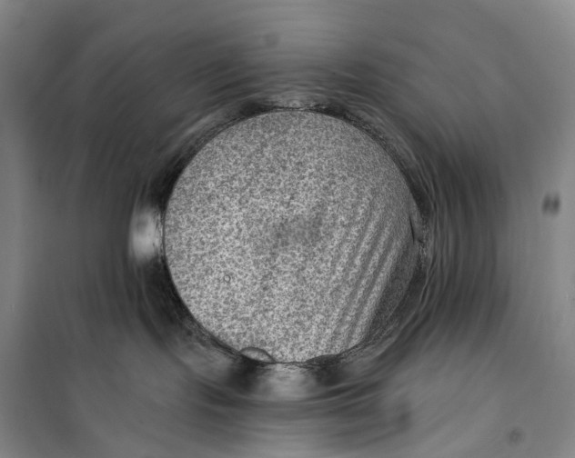 X0000099450095200805301522