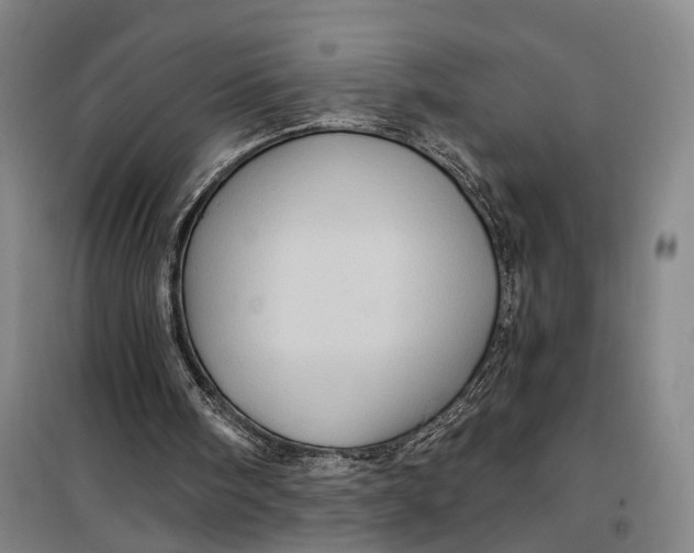 X0000099450098200805301521