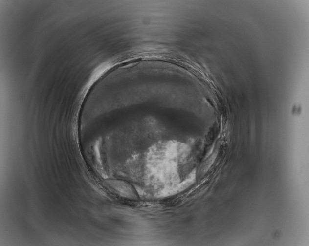 X0000099450099200805301521