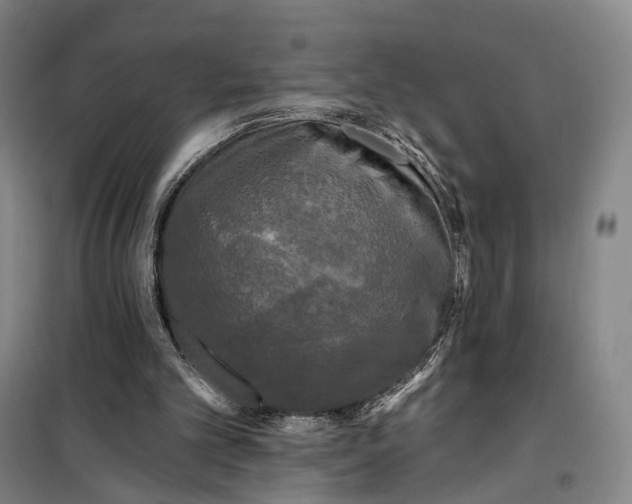 X0000099450101200805301521