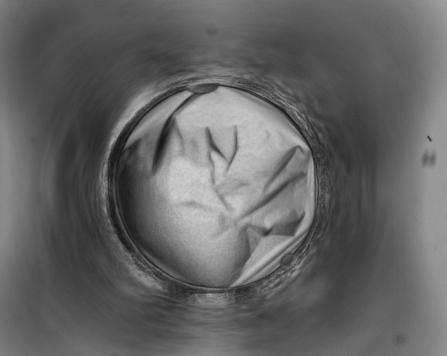 X0000099450102200805301521