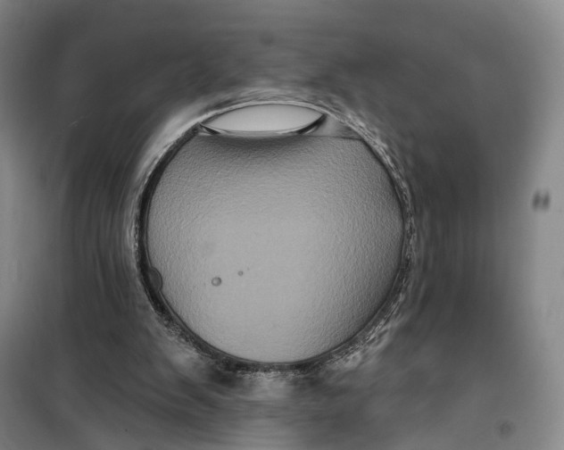 X0000099450103200805301521