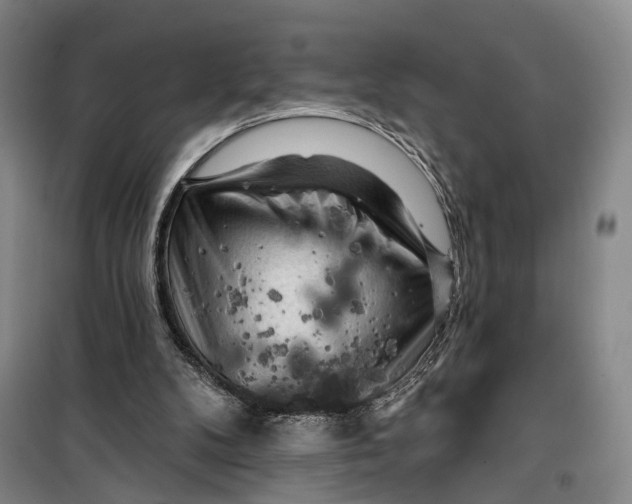 X0000099450104200805301521