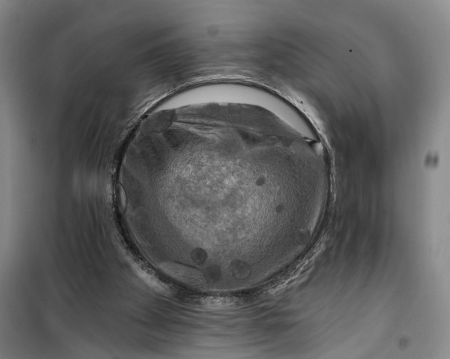 X0000099450105200805301521