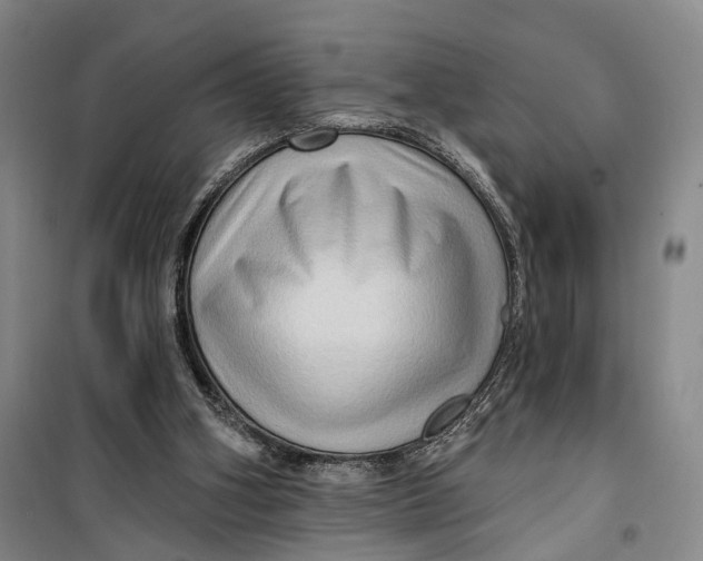 X0000099450106200805301521