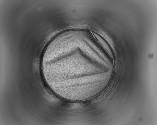 X0000099450107200805301521