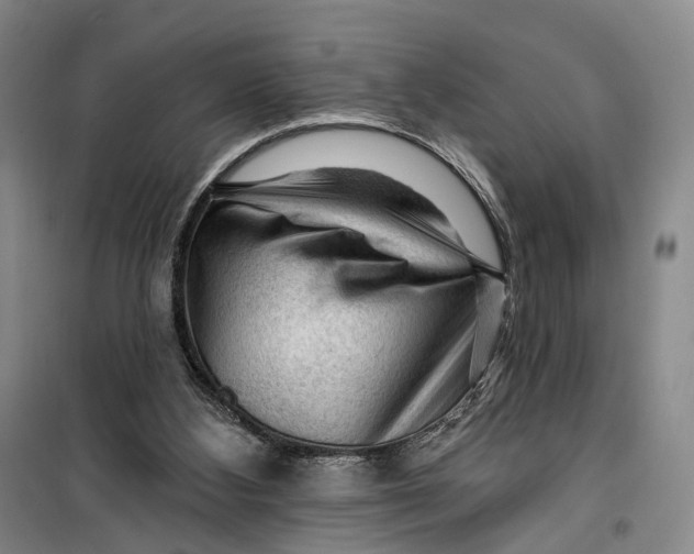 X0000099450108200805301521