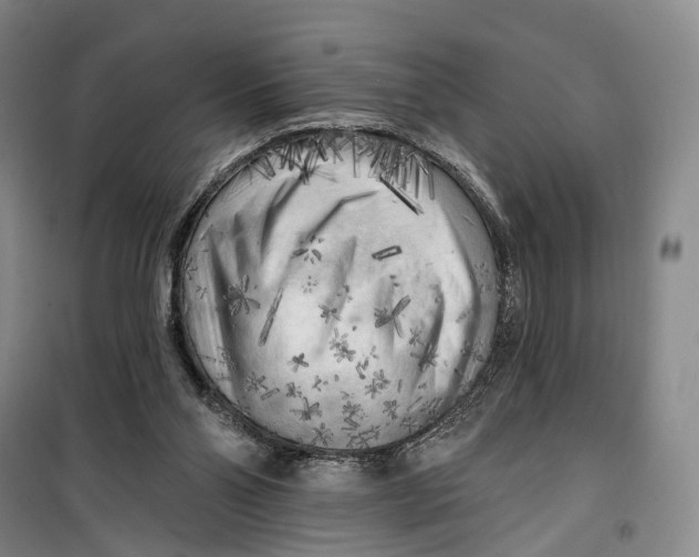 X0000099450110200805301521