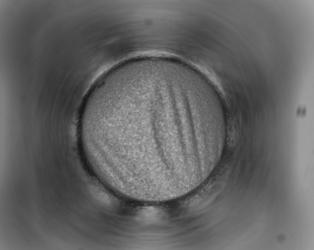 X0000099450111200805301521