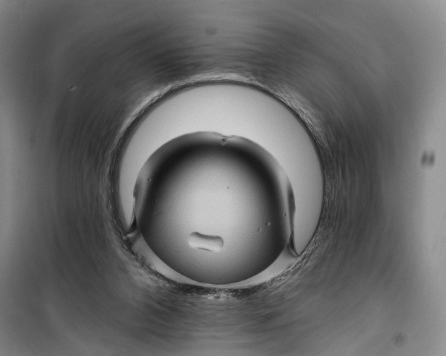 X0000099450112200805301521