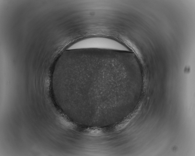 X0000099450113200805301521