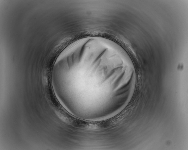 X0000099450114200805301521