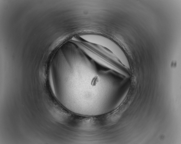 X0000099450116200805301521