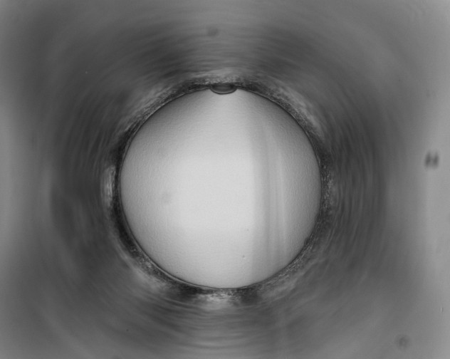 X0000099450118200805301521