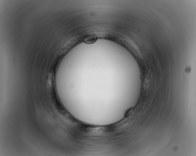 X0000099450122200805301521