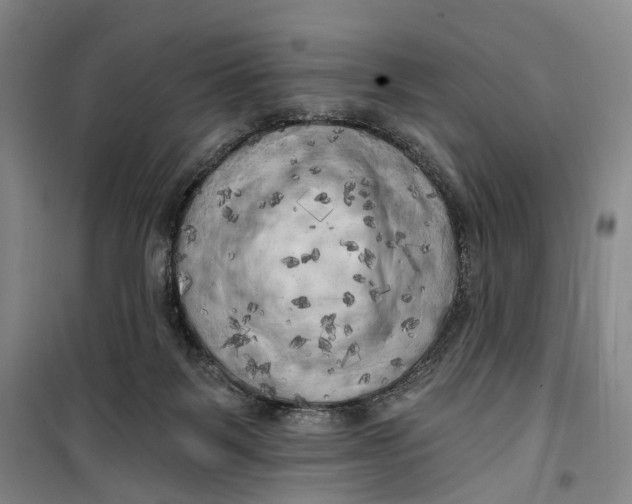 X0000099450123200805301521