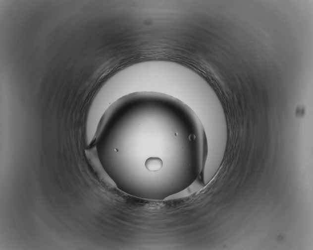 X0000099450124200805301521