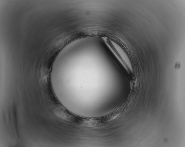 X0000099450125200805301521