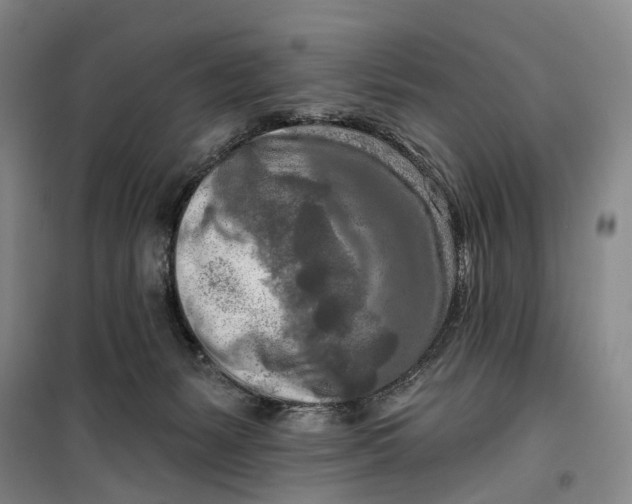 X0000099450127200805301521