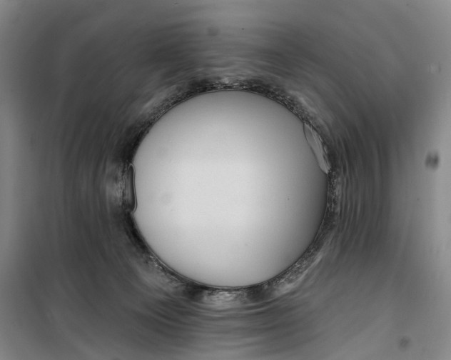 X0000099450129200805301521